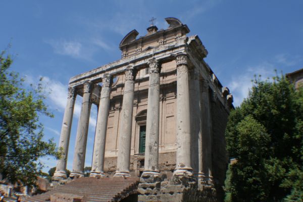 IMG 4565
